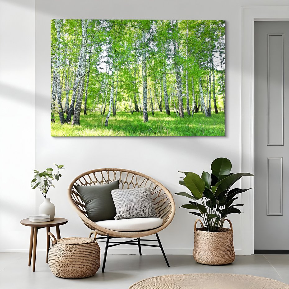 Obraz na płótnie - las, brzozy, natura