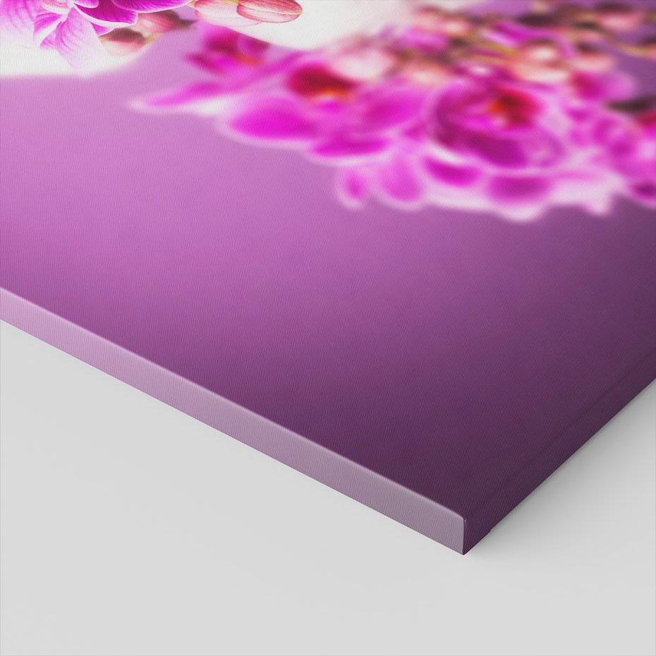 Obraz na płótnie - orchidea, kamienie, fioletowy