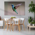 Obraz na płótnie - Koliber, Ptak, Natura