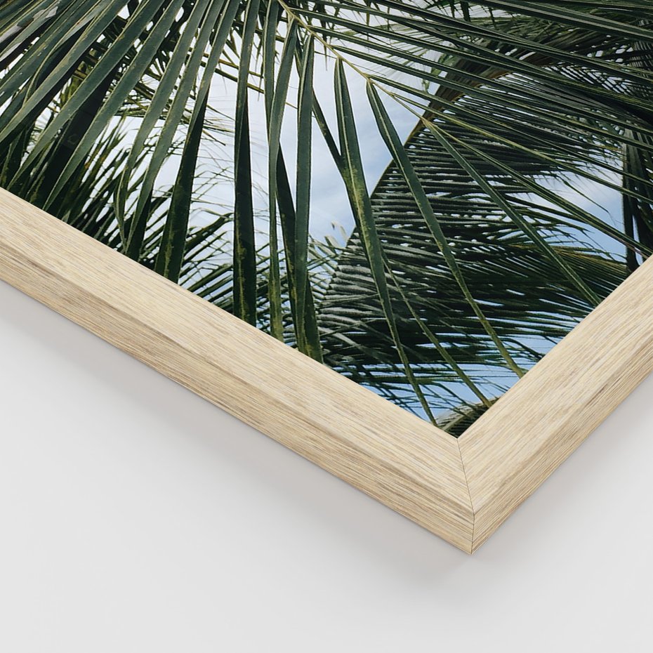 Zestaw obrazy w ramie, plakaty - liście,palmy,tropikalne - rama drewno