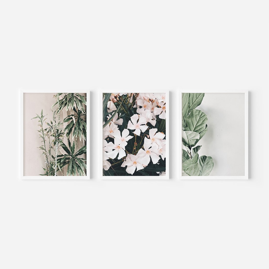 Zestaw obrazy w ramie, plakaty - rośliny, kwiaty, liście - rama biała
