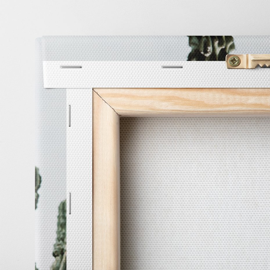 Obraz na płótnie - kaktusy, rośliny, natura