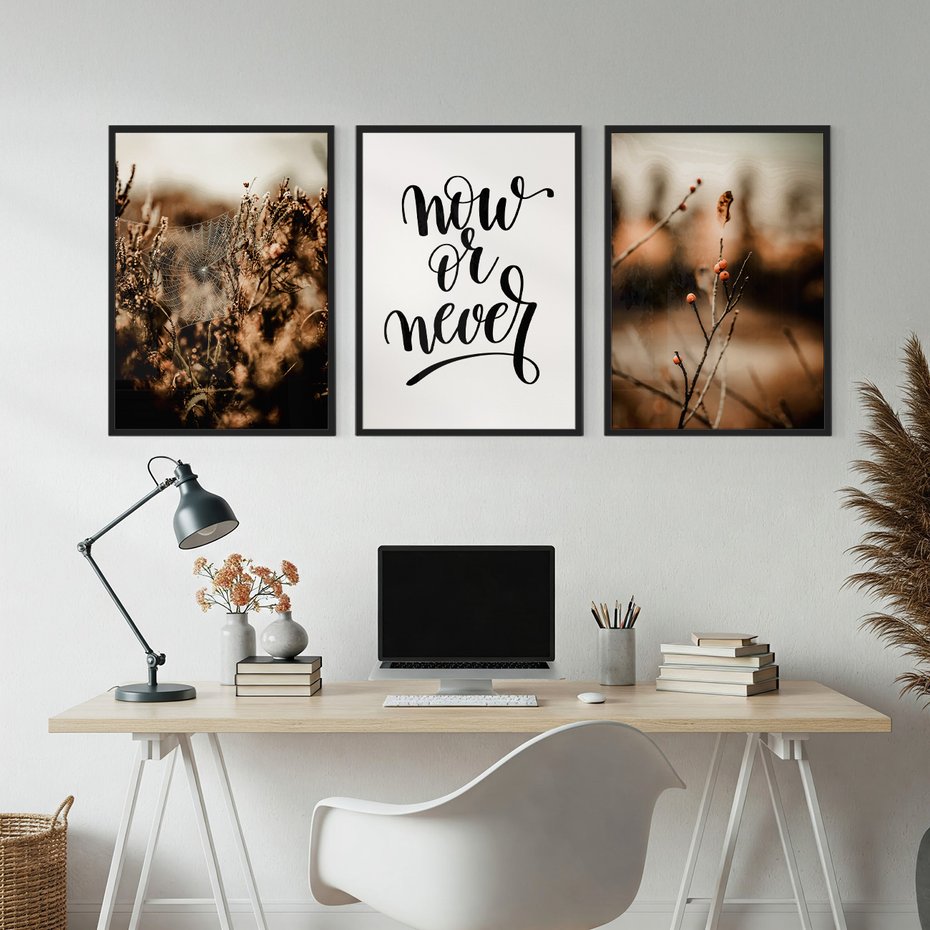 Zestaw obrazy w ramie, plakaty - przyroda, pajęczyna, owoce - rama czarna