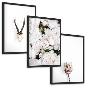 Zestaw obrazy w ramie, plakaty - kwiaty, minimalizm, roślina - rama czarna