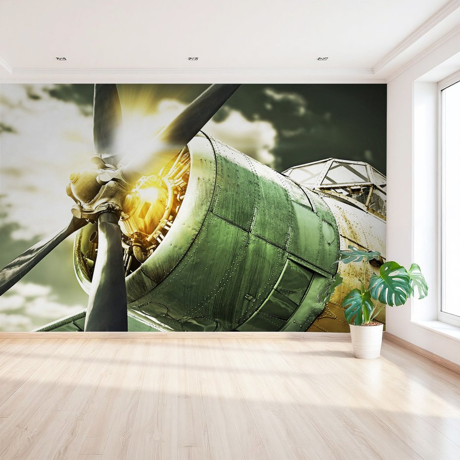 Fototapeta - samolot, silnik, śmigło