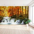 Fototapeta - wodospad, las, jesień