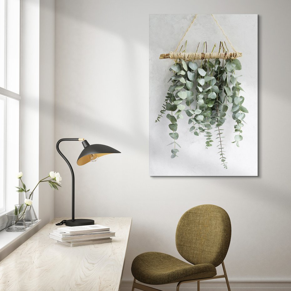 Obraz na płótnie - eukaliptus, dekoracja, liście