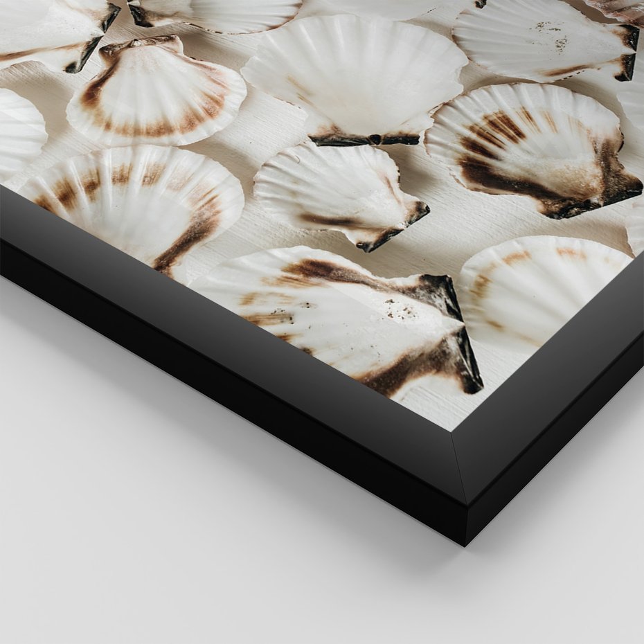 Zestaw obrazy w ramie, plakaty - muszle, plaża, woda - rama czarna