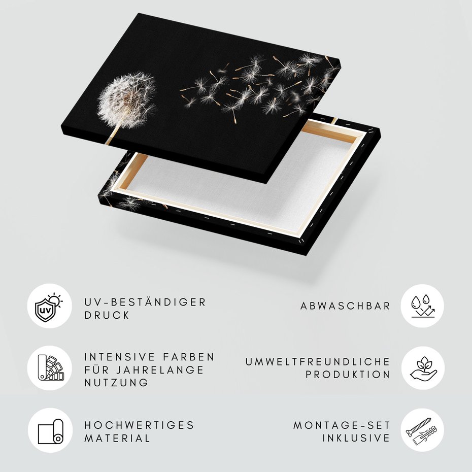 Obraz na płótnie - Dmuchawiec, Nasiona, Delikatność