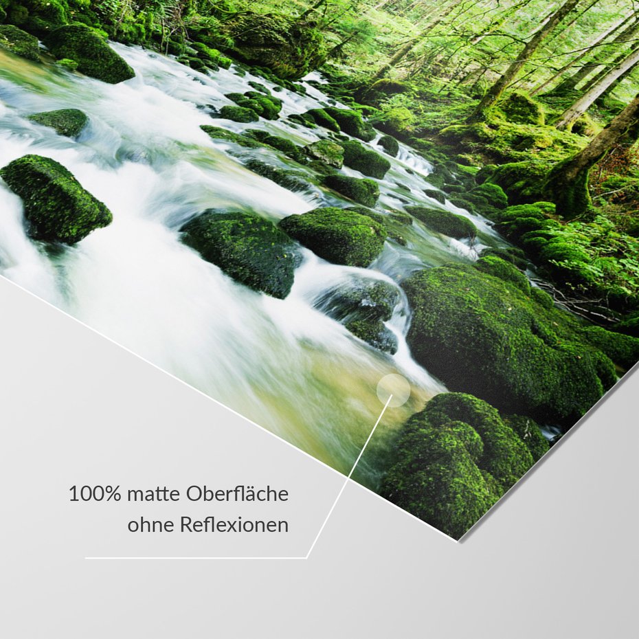 Fototapeta - las, potok, woda