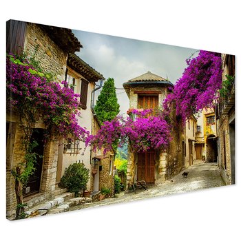Obraz na płótnie - uliczka, kwiaty, budynki