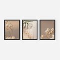 Zestaw obrazy w ramie, plakaty - kwiaty, roślina, suszone - rama czarna