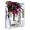 Obraz na płótnie - uliczka, kwiaty, biały