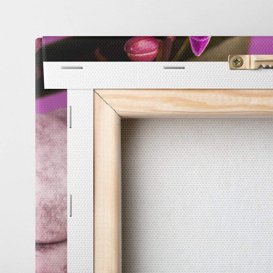 Obraz na płótnie - orchidea, kamienie, fioletowy