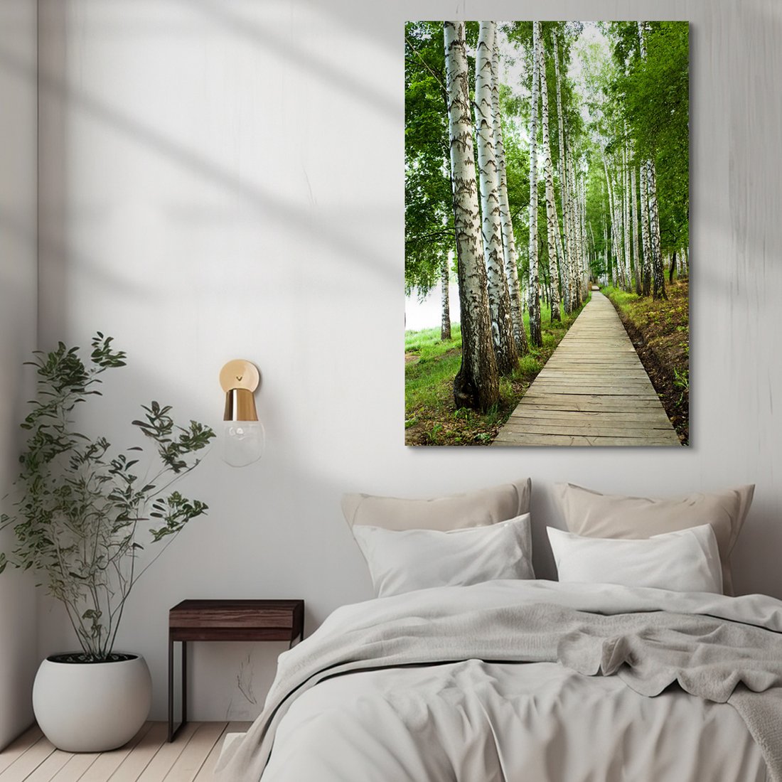 Obraz na płótnie - las, brzozy, ścieżka