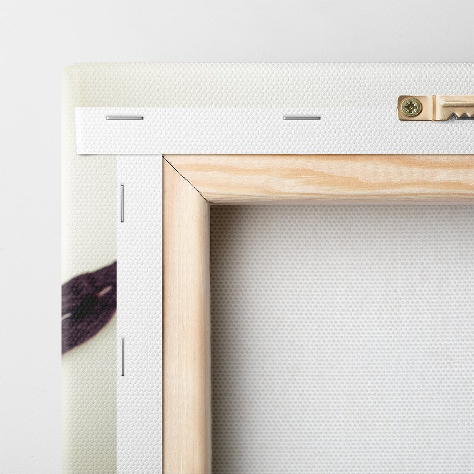 Obraz na płótnie - kwiaty, wanilia, aromat