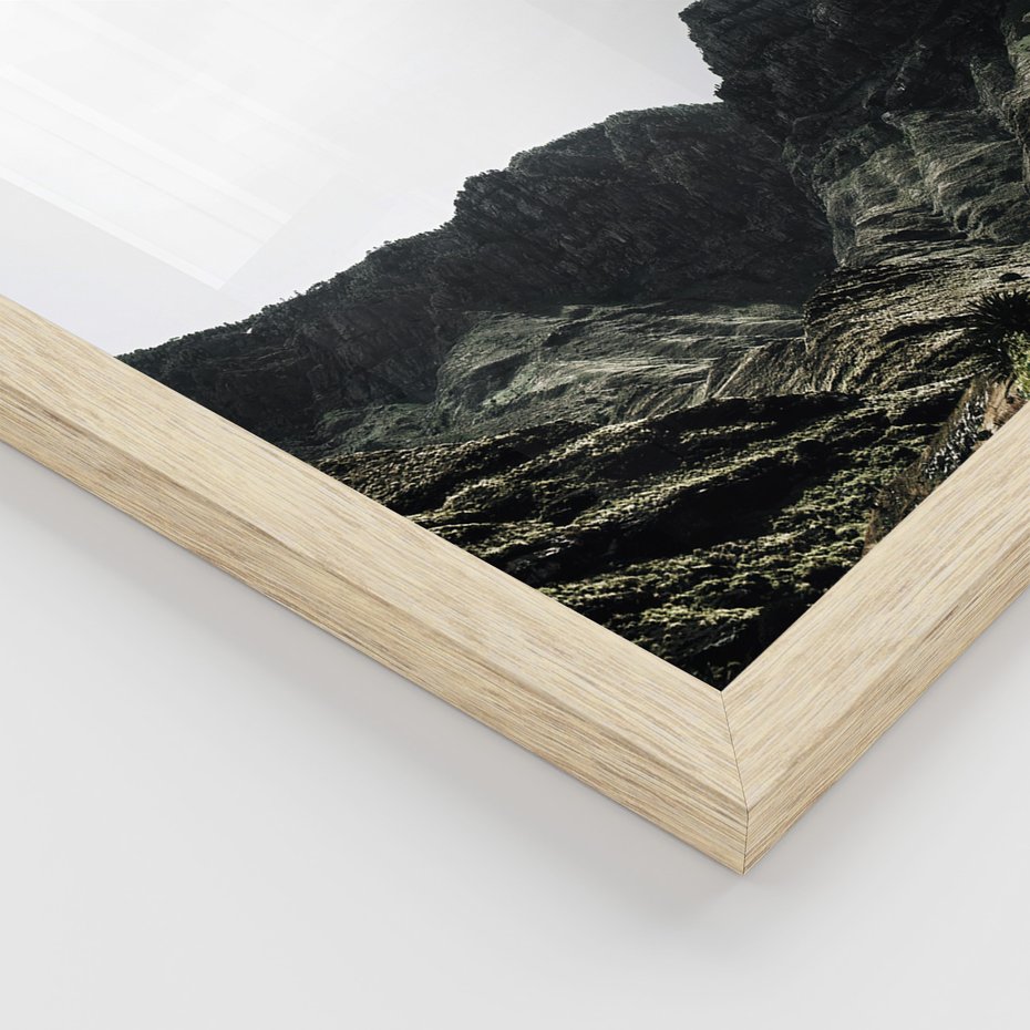 Zestaw obrazy w ramie, plakaty - góry, kaktus, rośliny - rama drewno