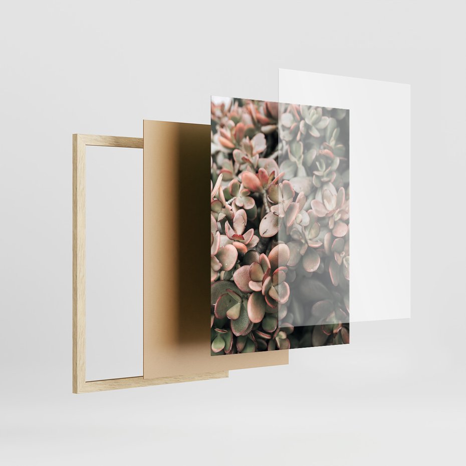 Zestaw obrazy w ramie, plakaty - rośliny, kaktus, liście - rama drewno