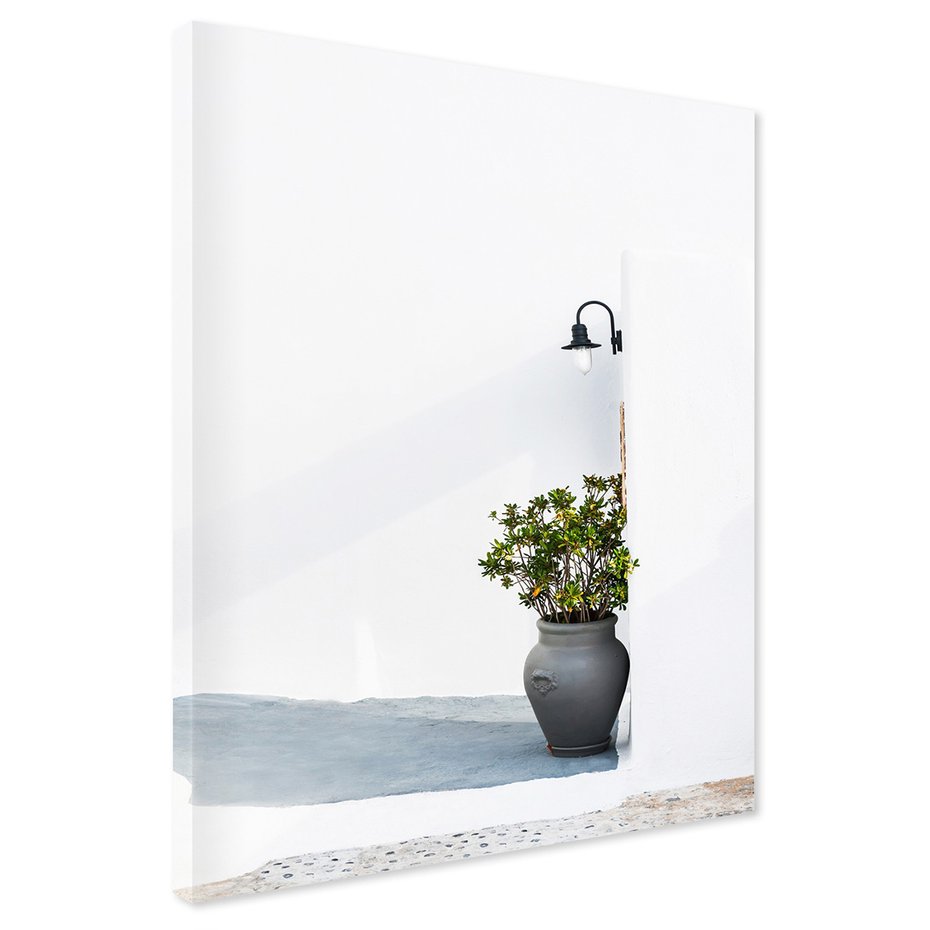 Obraz na płótnie - ściana, roślina, donica