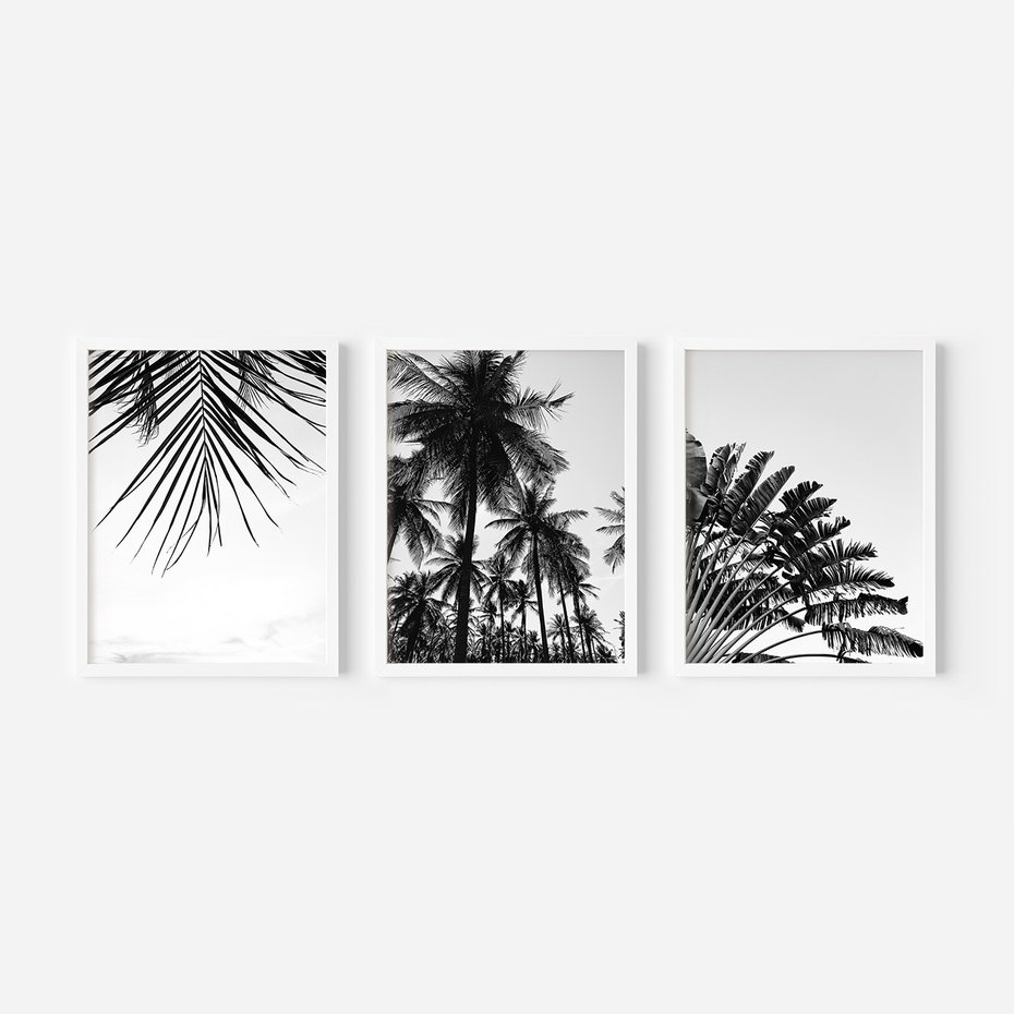 Zestaw obrazy w ramie, plakaty - palmy, liście, tropikalne - rama biała