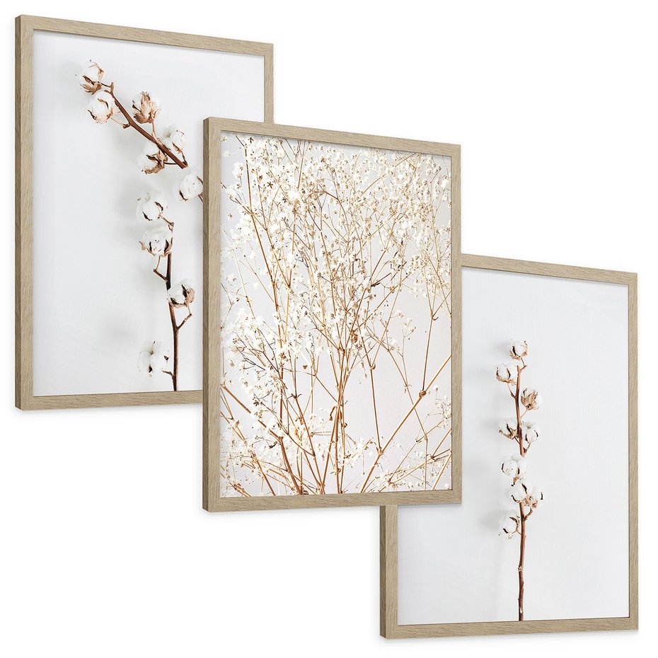 Zestaw obrazy w ramie, plakaty - bawełna, gałązki, delikatny - rama drewno