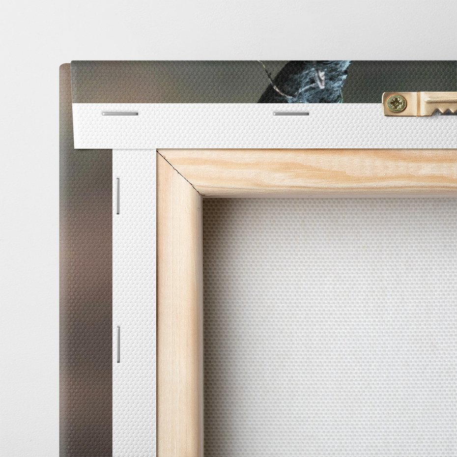 Obraz na płótnie - jeleń, zwierzę, natura