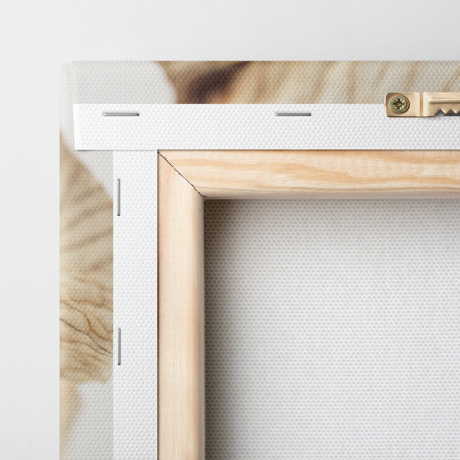 Obraz na płótnie - kwiat, suchy, abstrakcja