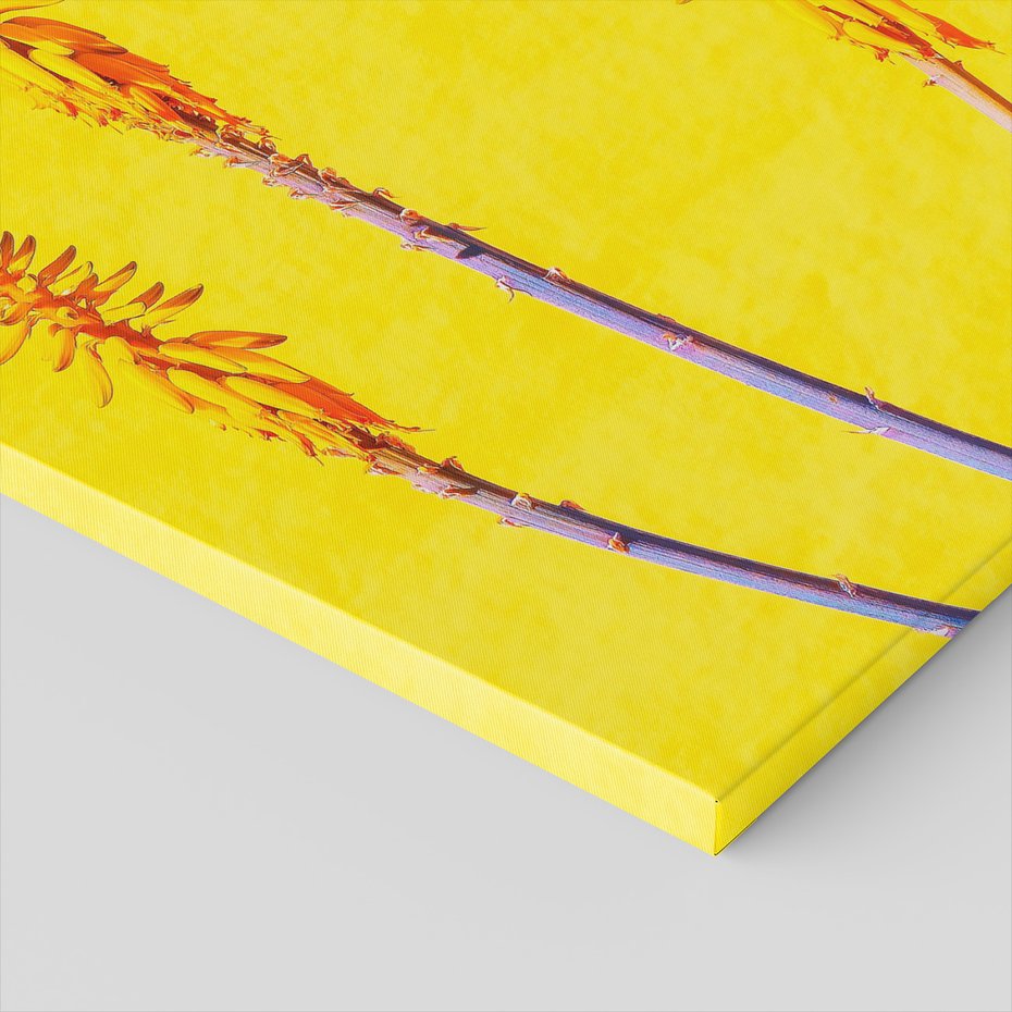 Obraz na płótnie - kwiaty, abstrakcja, żółty