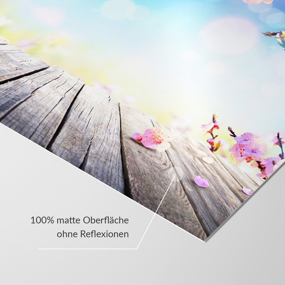 Fototapeta - kwiaty, wiosna, różowy