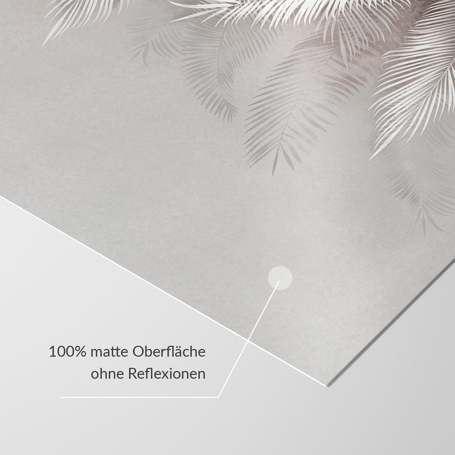 Fototapeta - beton, palmy, liście