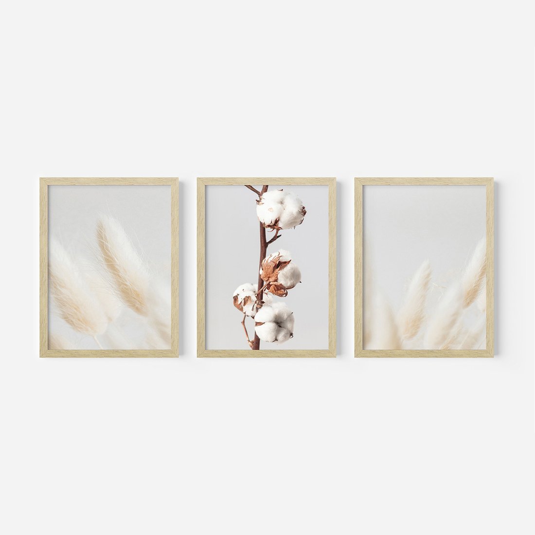 Zestaw obrazy w ramie, plakaty - bawełna, trawa, puszysty - rama drewno