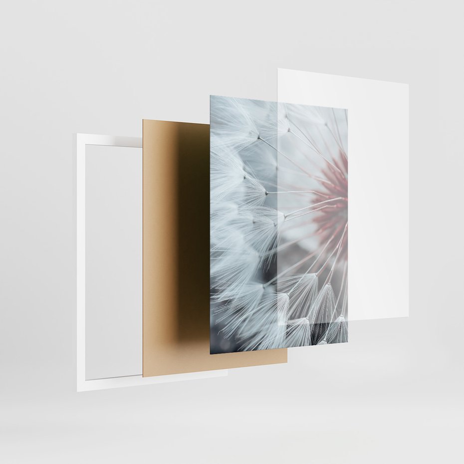 Zestaw obrazy w ramie, plakaty - dmuchawiec, natura, makro - rama biała