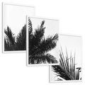 Zestaw obrazy w ramie, plakaty - palmy, liście, tropikalne - rama biała