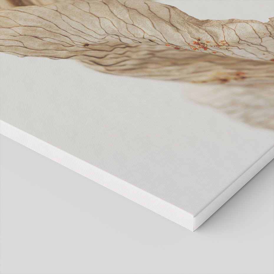 Obraz na płótnie - kwiat, suchy, abstrakcja