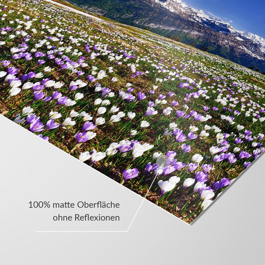 Fototapeta - góry, kwiaty, krajobraz