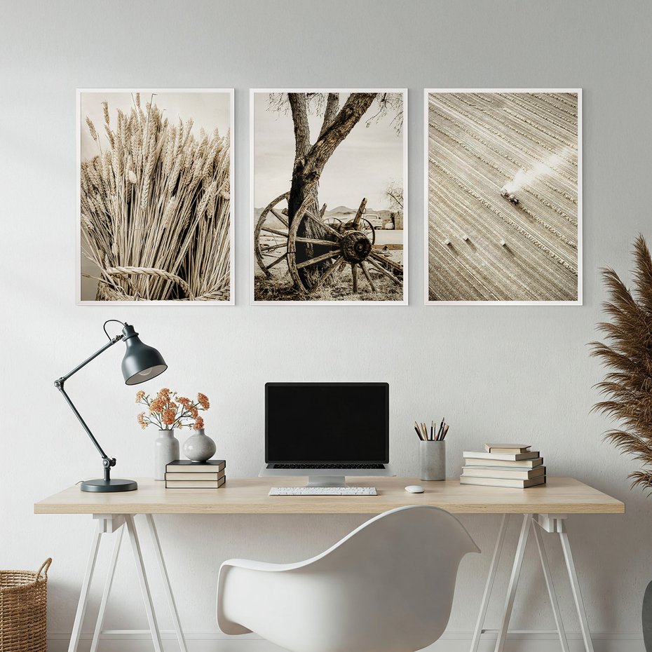 Zestaw obrazy w ramie, plakaty - wieś, rolnictwo, plony - rama biała