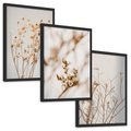 Zestaw obrazy w ramie, plakaty - kwiaty,rośliny,suszone, - rama czarna