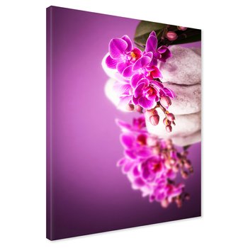 Obraz na płótnie - orchidea, kamienie, fioletowy