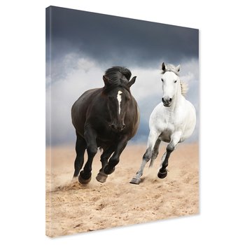 Obraz na płótnie - konie, galop, krajobraz