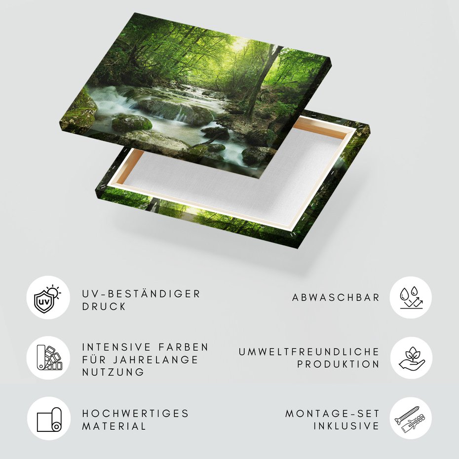 Obraz na płótnie - las, potok, woda