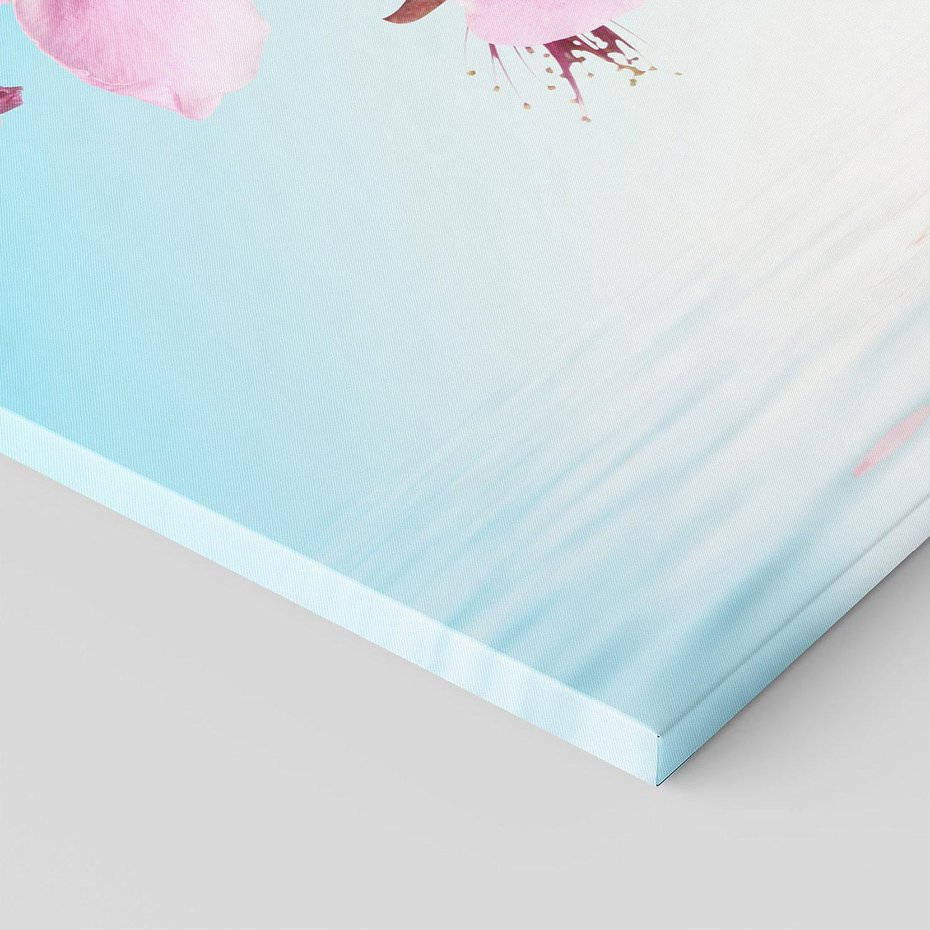 Obraz na płótnie - kwiaty, różowy, woda