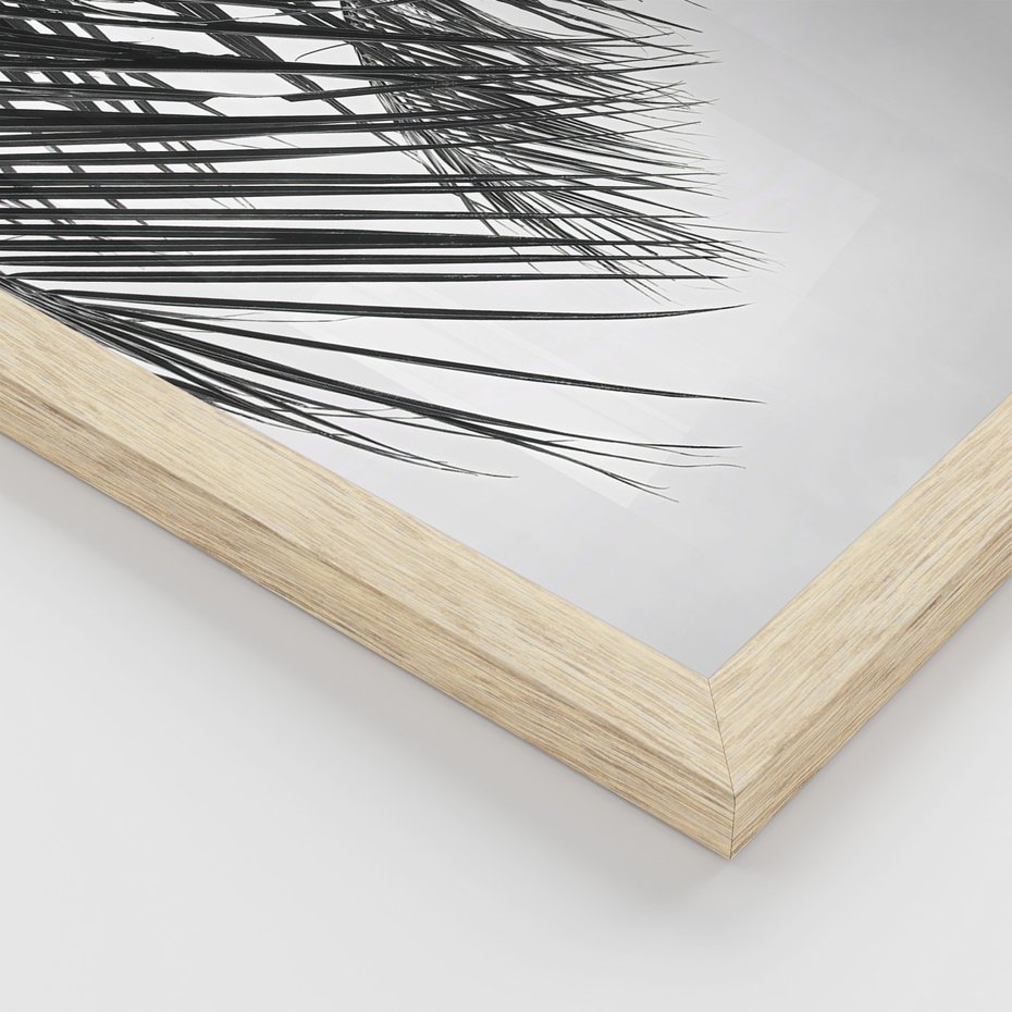 Zestaw obrazy w ramie, plakaty - liście,roślina,czarny - rama drewno