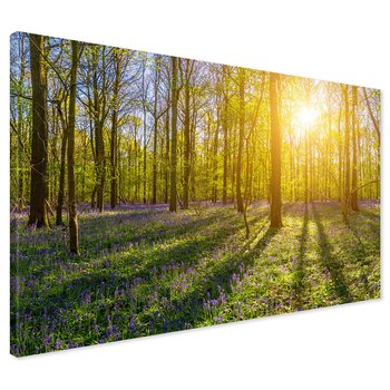 Obraz na płótnie - las, kwiaty, słońce