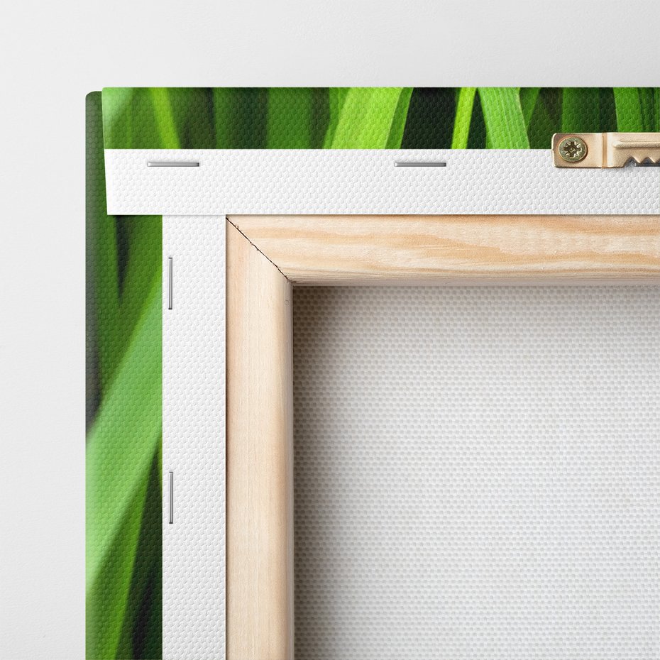 Obraz na płótnie - trawa, zielony, liście