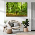 Obraz na płótnie - las, drzewa, natura