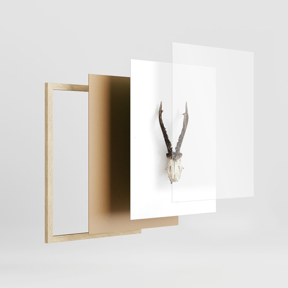 Zestaw obrazy w ramie, plakaty - kwiaty, minimalizm, roślina - rama drewno