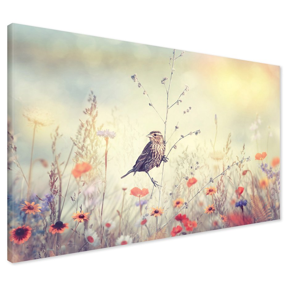 Obraz na płótnie - ptak, kwiaty, łąka