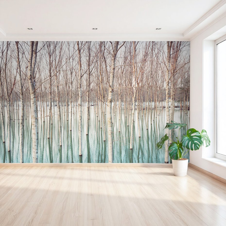 Fototapeta - drzewa, woda, las