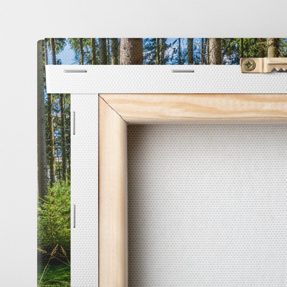 Obraz na płótnie - las, drzewa, natura