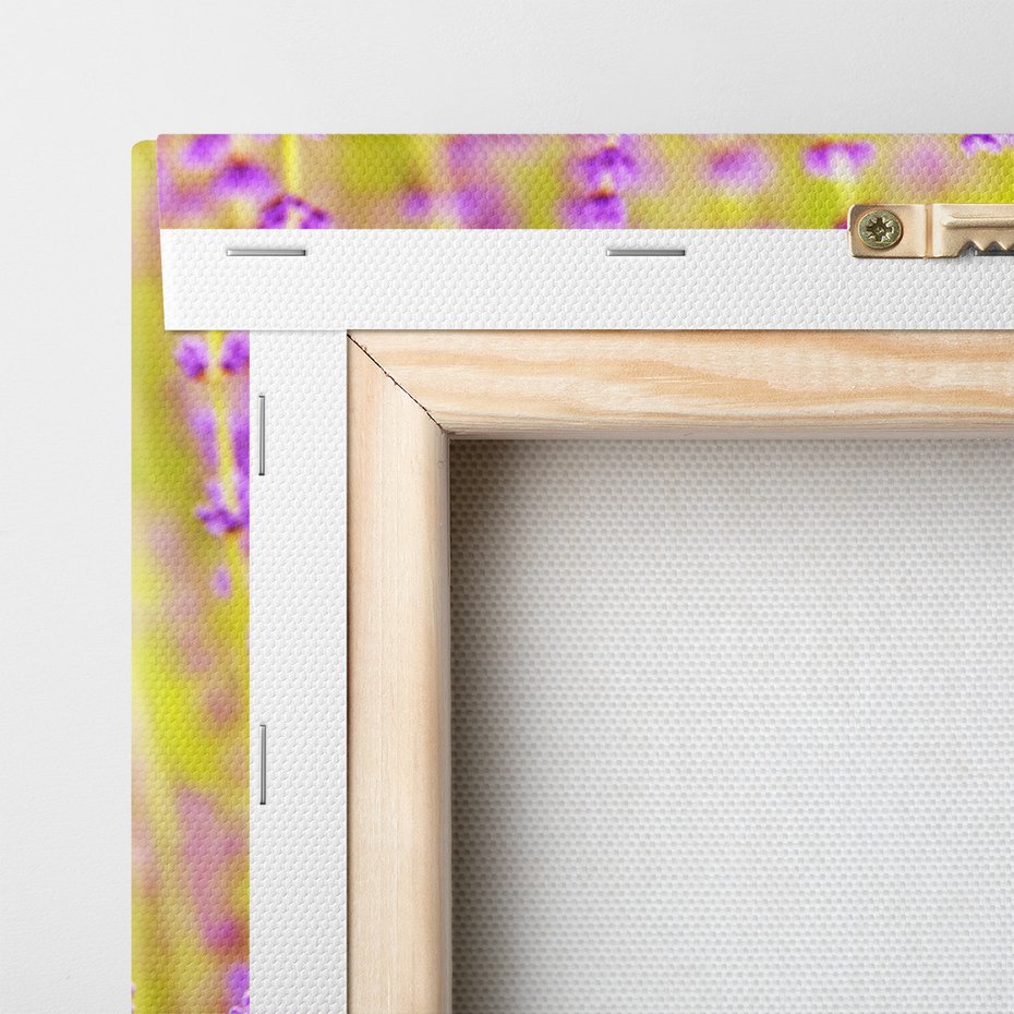 Obraz na płótnie - lawenda, kwiaty, natura